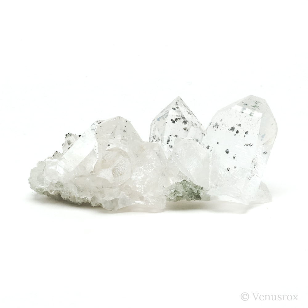 Himalayan Chlorite Quartz with Anatase Natural Cluster from the Indian Himalayas | Venusrox