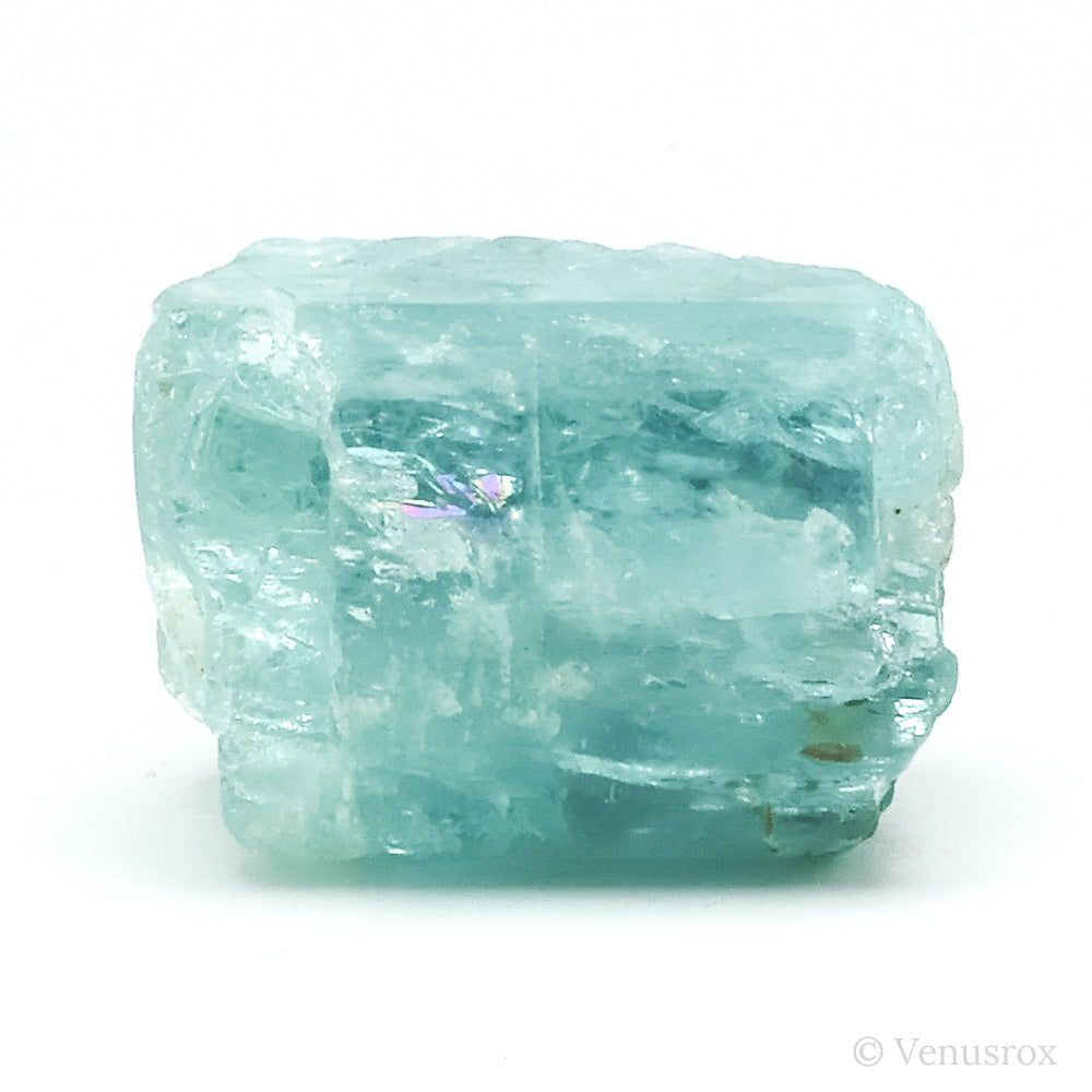 Aquamarine Natural Crystal from Karur, India | Venusrox