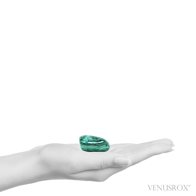 Malachite with Chrysocolla Polished Crystal from the Democratic Republic of Congo | Venusrox