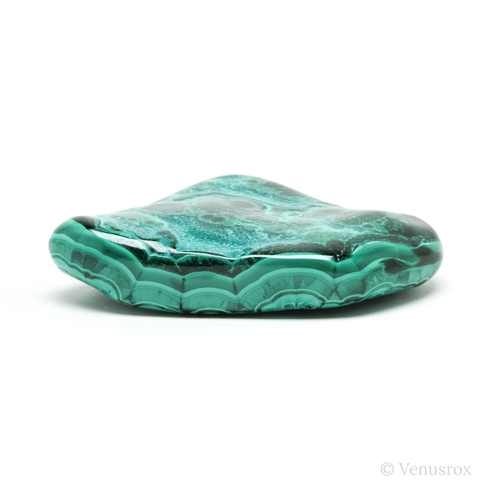 Malachite with Chrysocolla Polished Crystal from the Democratic Republic of Congo | Venusrox