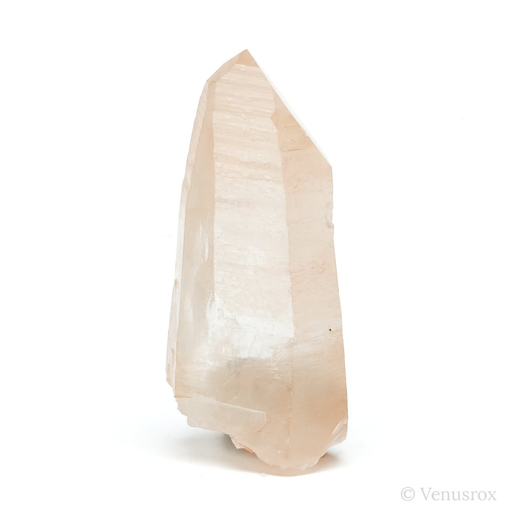 Tangerine Lemurian Quartz Part Polished/Part Natural Point from Brazil | Venusrox