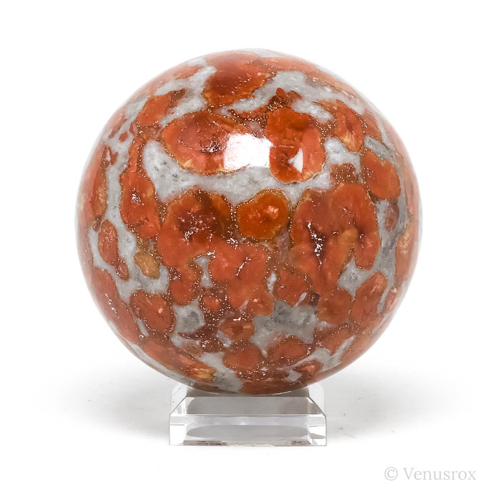 Orbicular Jasper Polished Sphere from India | Venusrox