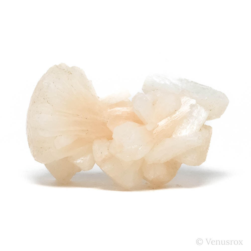 Stilbite Natural Cluster from Jalgaon, Maharashtra, India | Venusrox