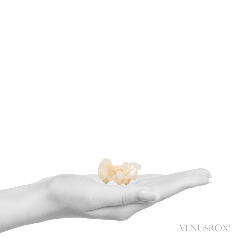 Stilbite Natural Cluster from Jalgaon, Maharashtra, India | Venusrox