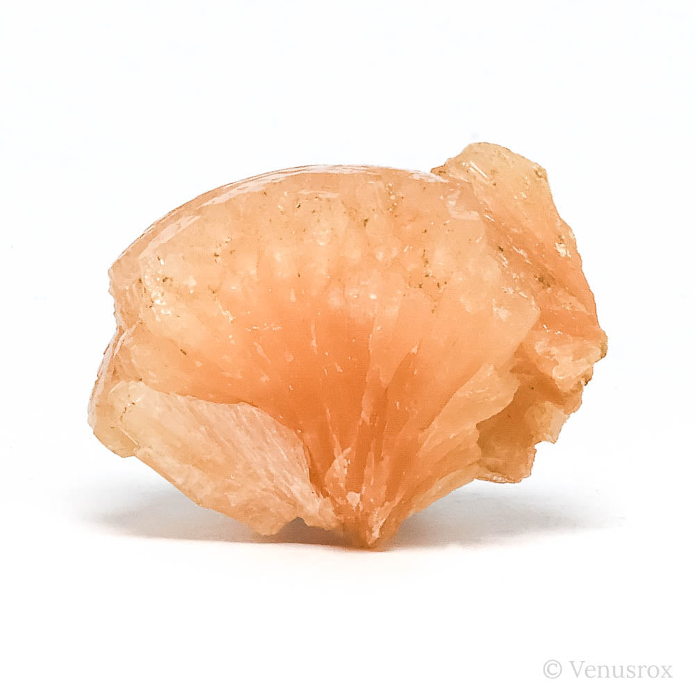 Stilbite Natural Cluster from Jalgaon, Maharashtra, India | Venusrox