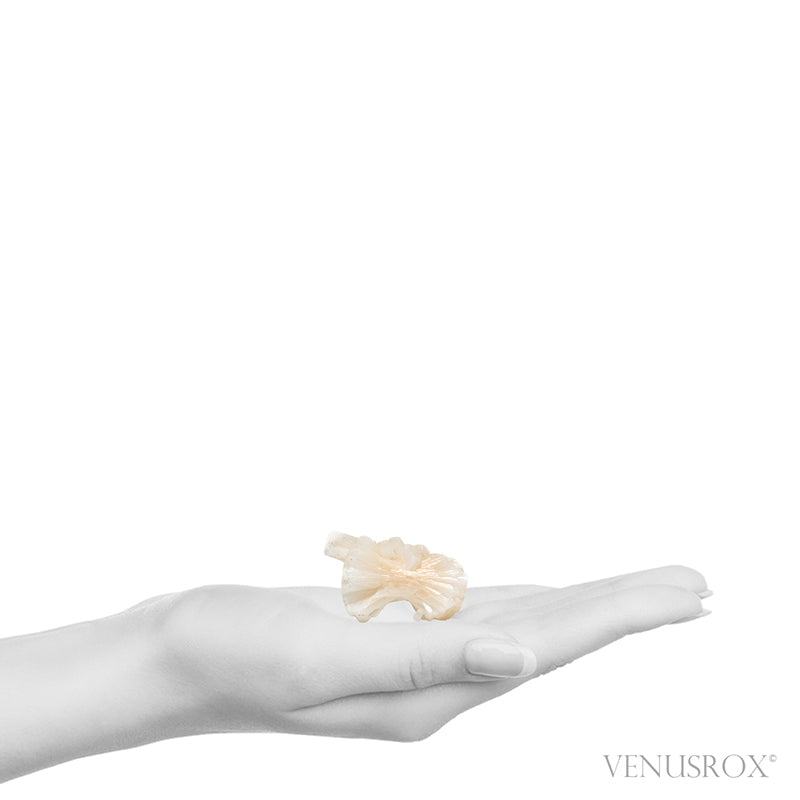 Stilbite Natural 'Bow-tie' from Pune District, Maharashtra, India | Venusrox