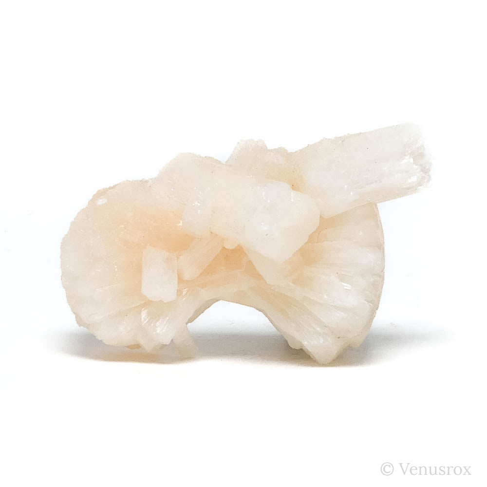 Stilbite Natural 'Bow-tie' from Pune District, Maharashtra, India | Venusrox