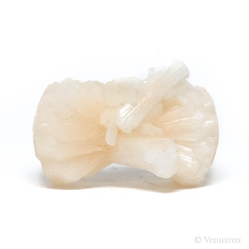 Stilbite Natural 'Bow-tie' from Pune District, Maharashtra, India | Venusrox