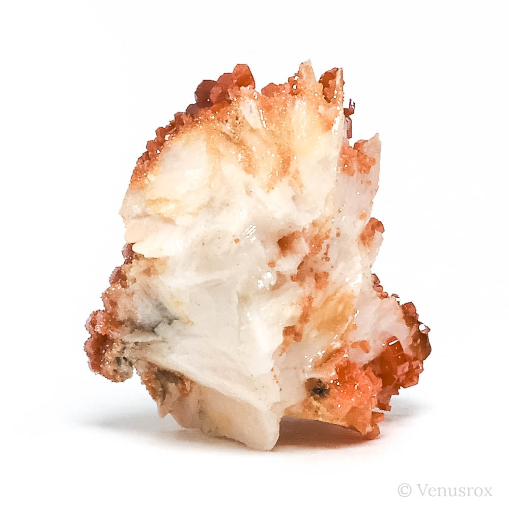 Vanadinite on Barite & Matrix Natural Specimen from Mibladen, Midelt, Meknes-Tafilalet Region, Morocco | Venusrox