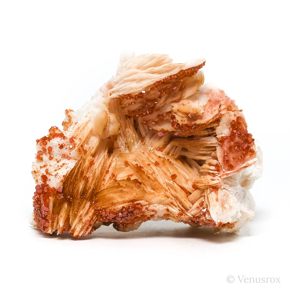 Vanadinite on Barite Natural Specimen from Mibladen, Midelt, Meknes-Tafilalet Region, Morocco | Venusrox