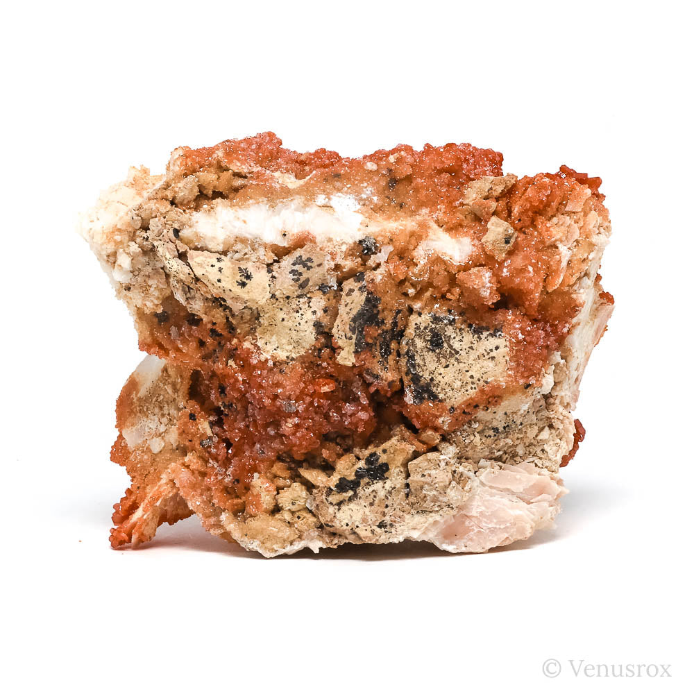 Vanadinite on Barite Natural Specimen from Mibladen, Midelt, Meknes-Tafilalet Region, Morocco | Venusrox