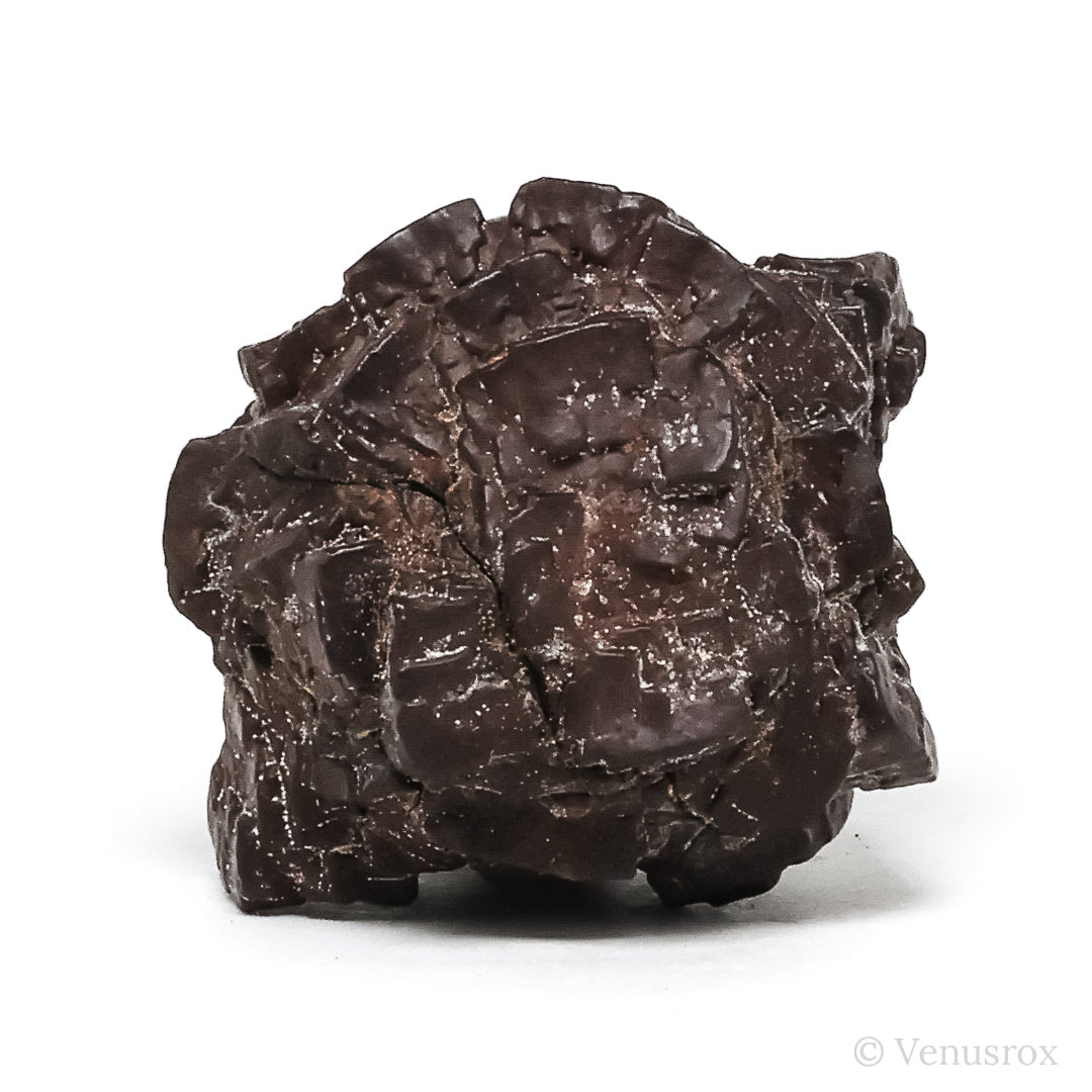Prophecy Stone from the Farafra Oasis, White Desert, SW Egypt | Venusrox