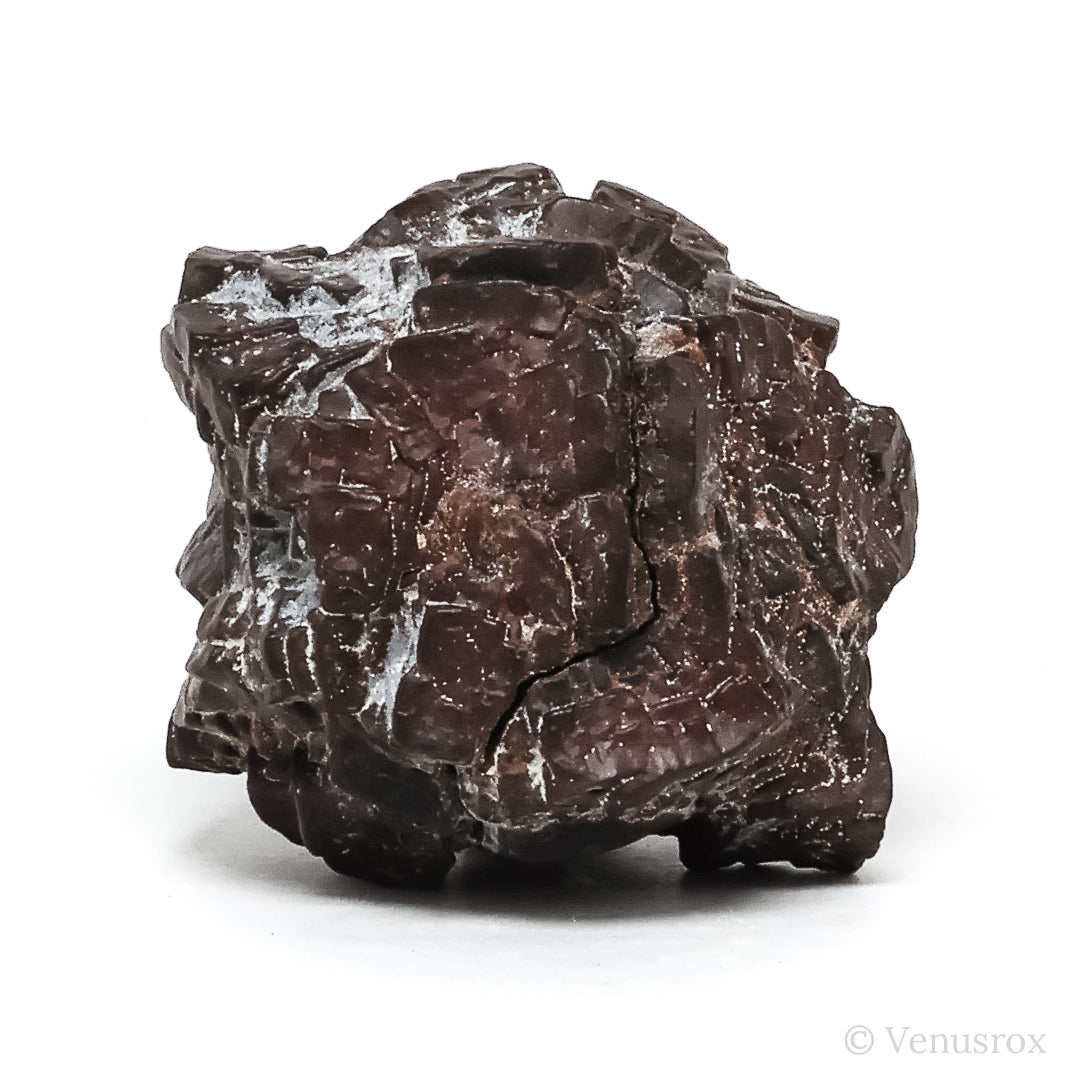 Prophecy Stone from the Farafra Oasis, White Desert, SW Egypt | Venusrox