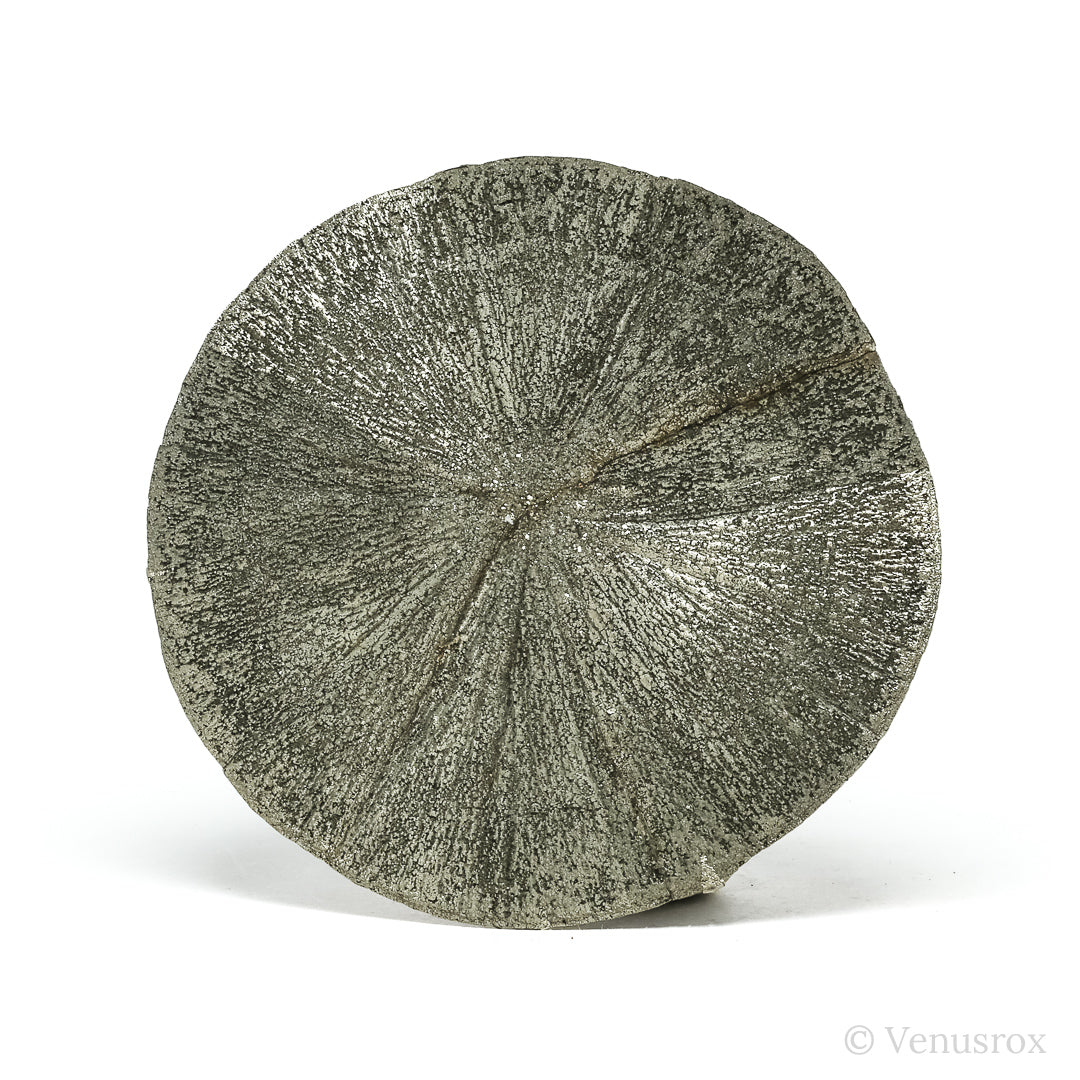 Pyrite Sun from Sparta, Randolph Co., Illinois, USA | Venusrox