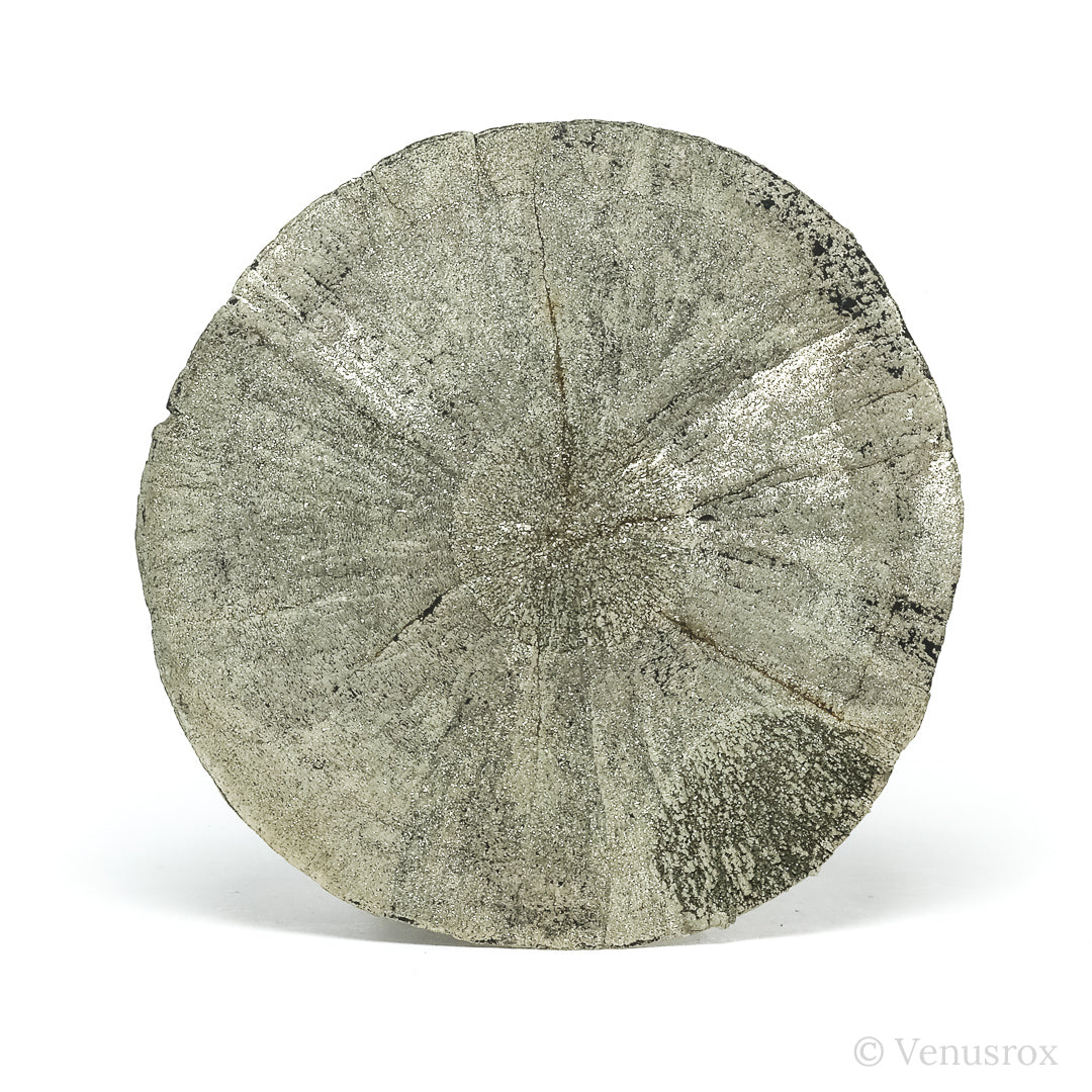 Pyrite Sun from Sparta, Randolph Co., Illinois, USA | Venusrox