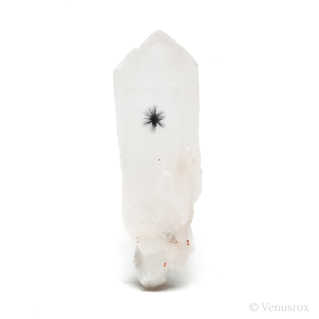 Hollandite Quartz Part Polished/Part Natural Point from Madagascar | Venusrox