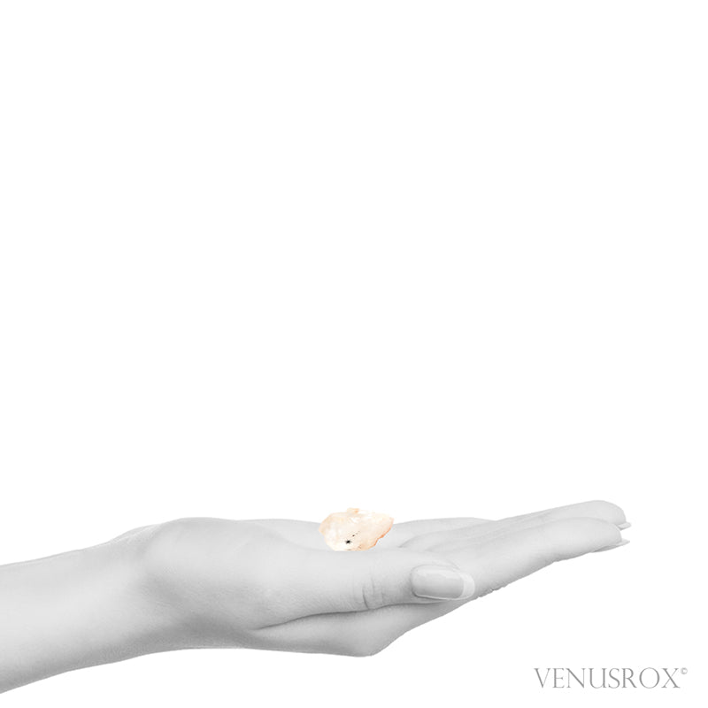 Hollandite Quartz Part Polished/Part Natural Point from Madagascar | Venusrox