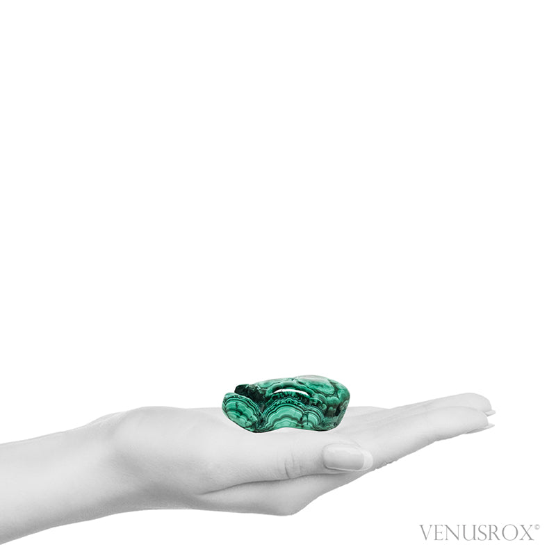 Malachite with Chrysocolla Polished Crystal from the Democratic Republic of Congo | Venusrox