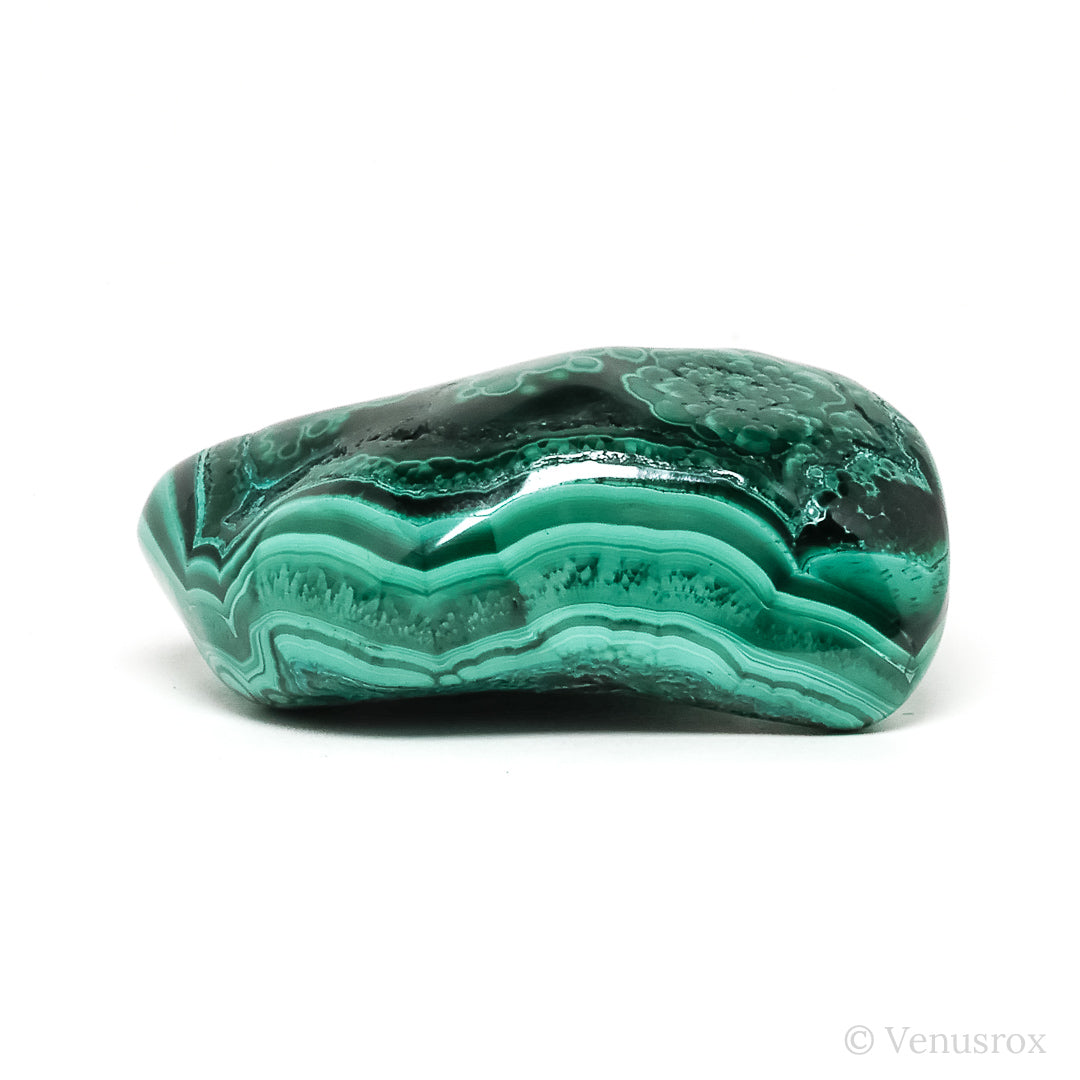 Malachite with Chrysocolla Polished Crystal from the Democratic Republic of Congo | Venusrox