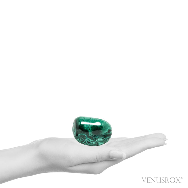 Malachite with Chrysocolla Polished Crystal from the Democratic Republic of Congo | Venusrox