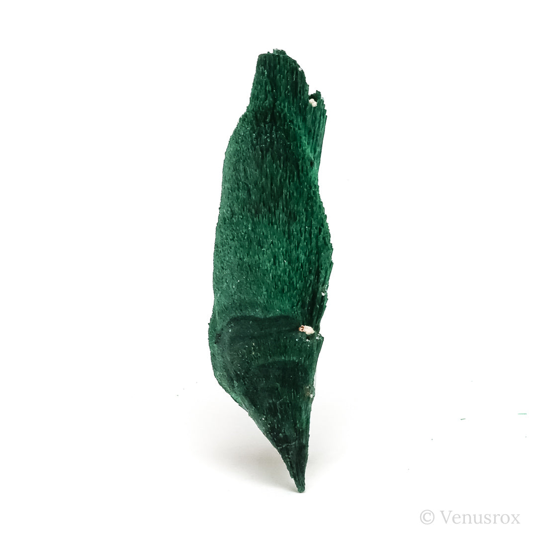 Fibrous Malachite with Matrix Natural Crystal from Kerrouchene, Khenifra Province, Meknes-Tafilalet Region, Morocco, Africa | Venusrox