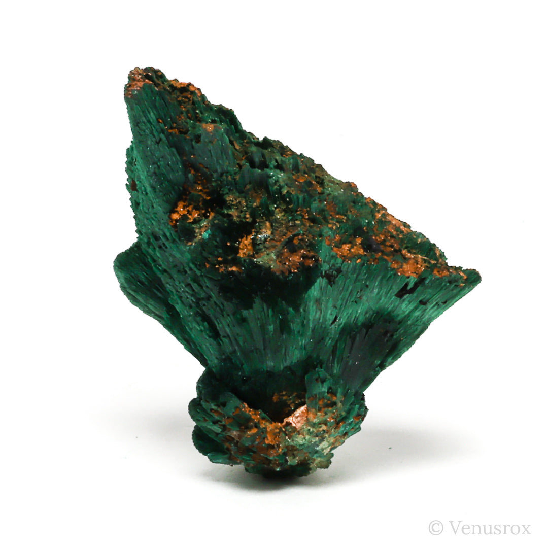Fibrous Malachite with Matrix Natural Crystal from Kerrouchene, Khenifra Province, Meknes-Tafilalet Region, Morocco, Africa | Venusrox