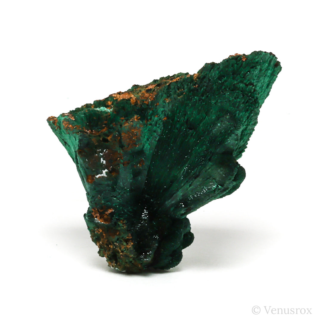 Fibrous Malachite with Matrix Natural Crystal from Kerrouchene, Khenifra Province, Meknes-Tafilalet Region, Morocco, Africa | Venusrox