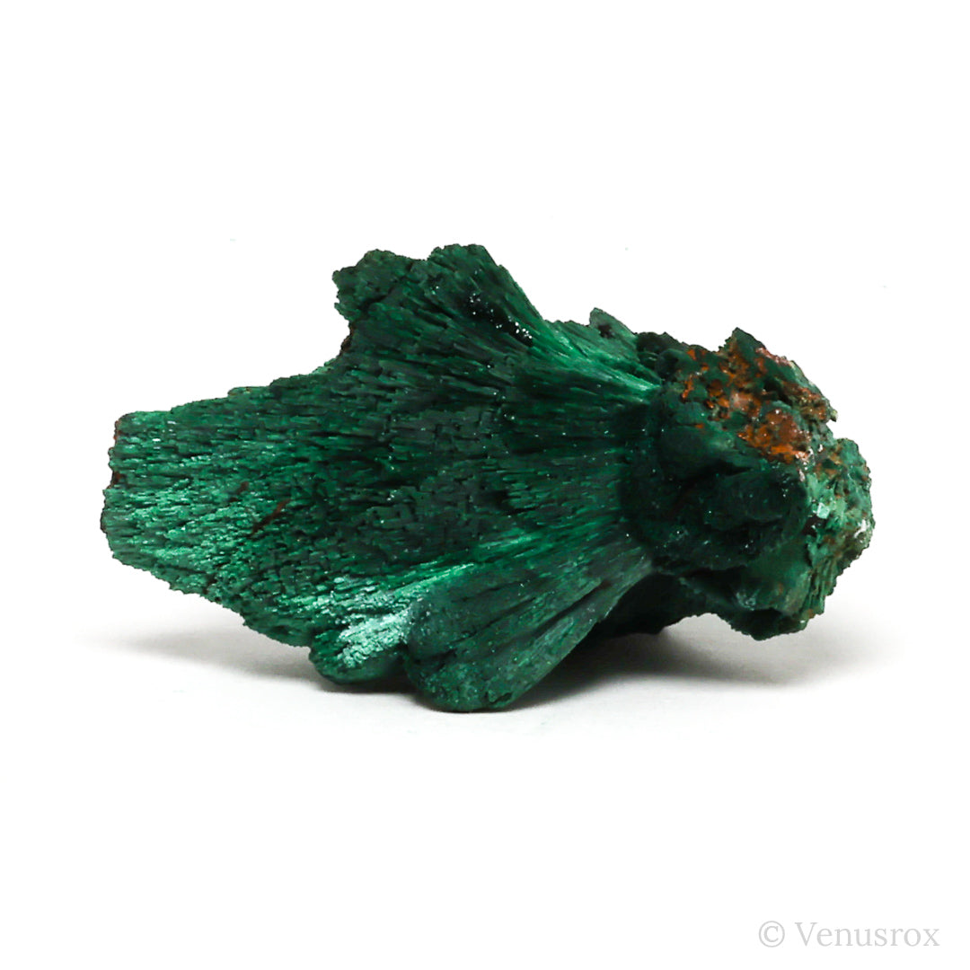 Fibrous Malachite with Matrix Natural Crystal from Kerrouchene, Khenifra Province, Meknes-Tafilalet Region, Morocco, Africa | Venusrox