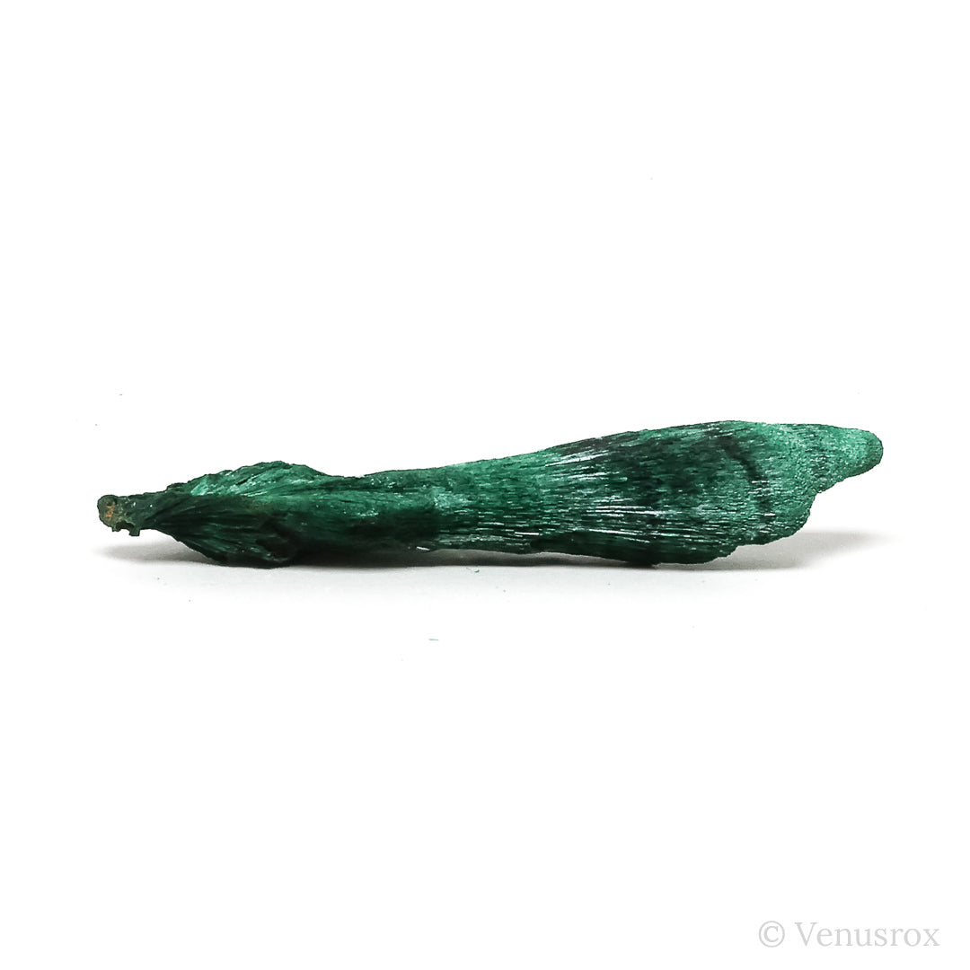Fibrous Malachite with Matrix Natural Crystal from Kerrouchene, Khenifra Province, Meknes-Tafilalet Region, Morocco, Africa | Venusrox