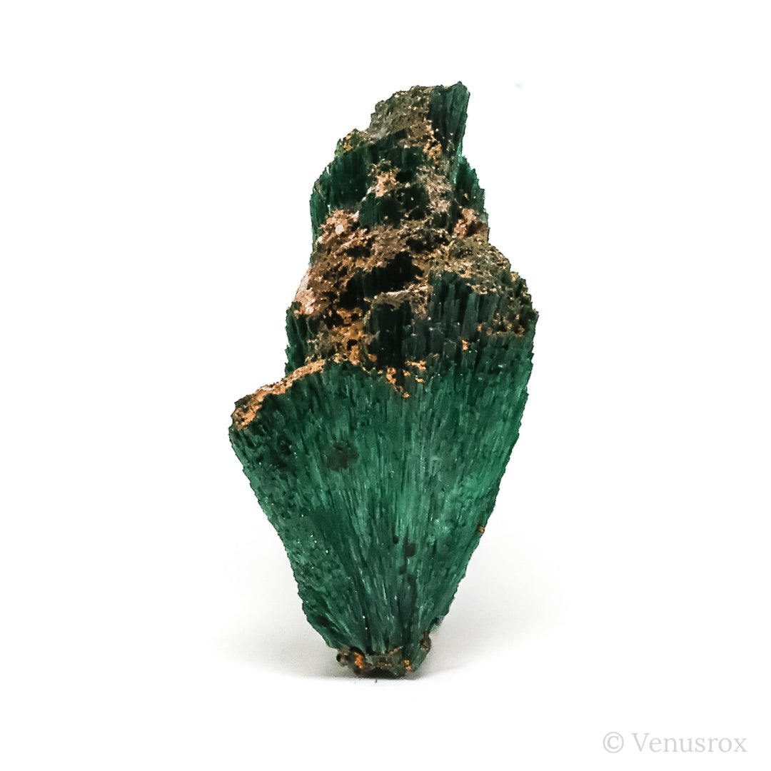 Fibrous Malachite with Matrix Natural Crystal from Kerrouchene, Khenifra Province, Meknes-Tafilalet Region, Morocco, Africa | Venusrox