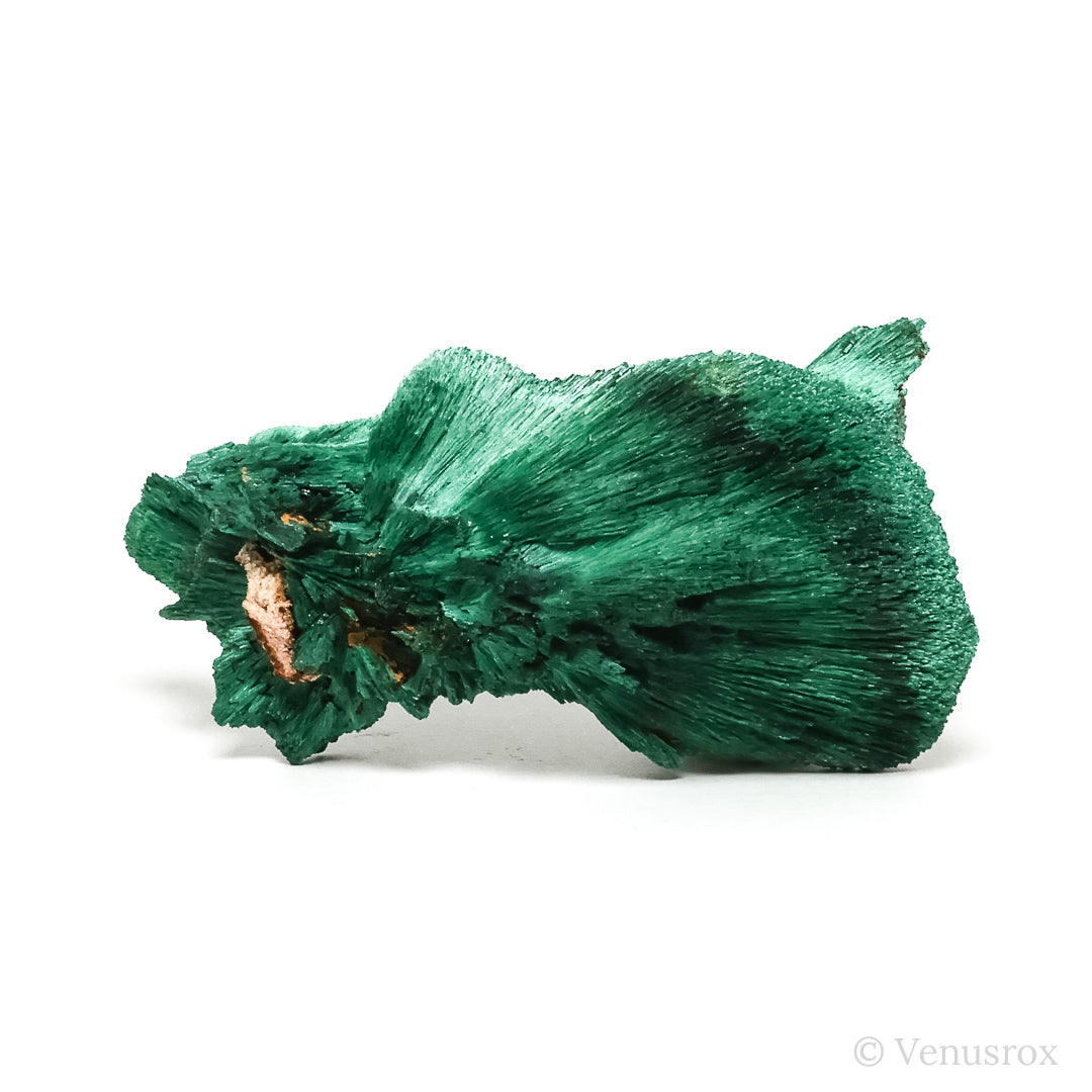Fibrous Malachite with Matrix Natural Crystal from Kerrouchene, Khenifra Province, Meknes-Tafilalet Region, Morocco, Africa | Venusrox