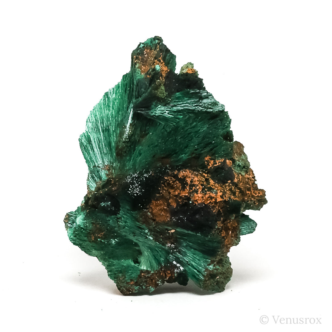 Fibrous Malachite with Matrix Natural Crystal from Kerrouchene, Khenifra Province, Meknes-Tafilalet Region, Morocco, Africa | Venusrox