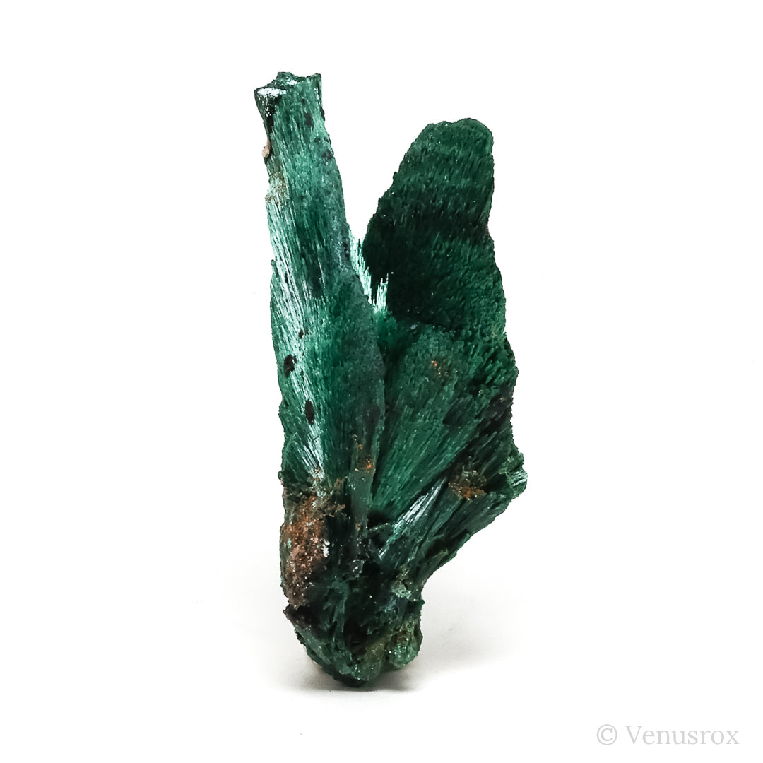 Fibrous Malachite with Matrix Natural Crystal from Kerrouchene, Khenifra Province, Meknes-Tafilalet Region, Morocco, Africa | Venusrox
