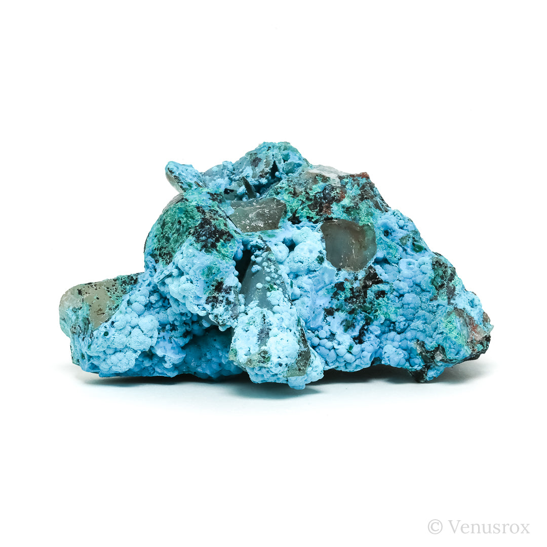 Chrysocolla on Quartz Natural Crystal Specimen from Peru | Venusrox