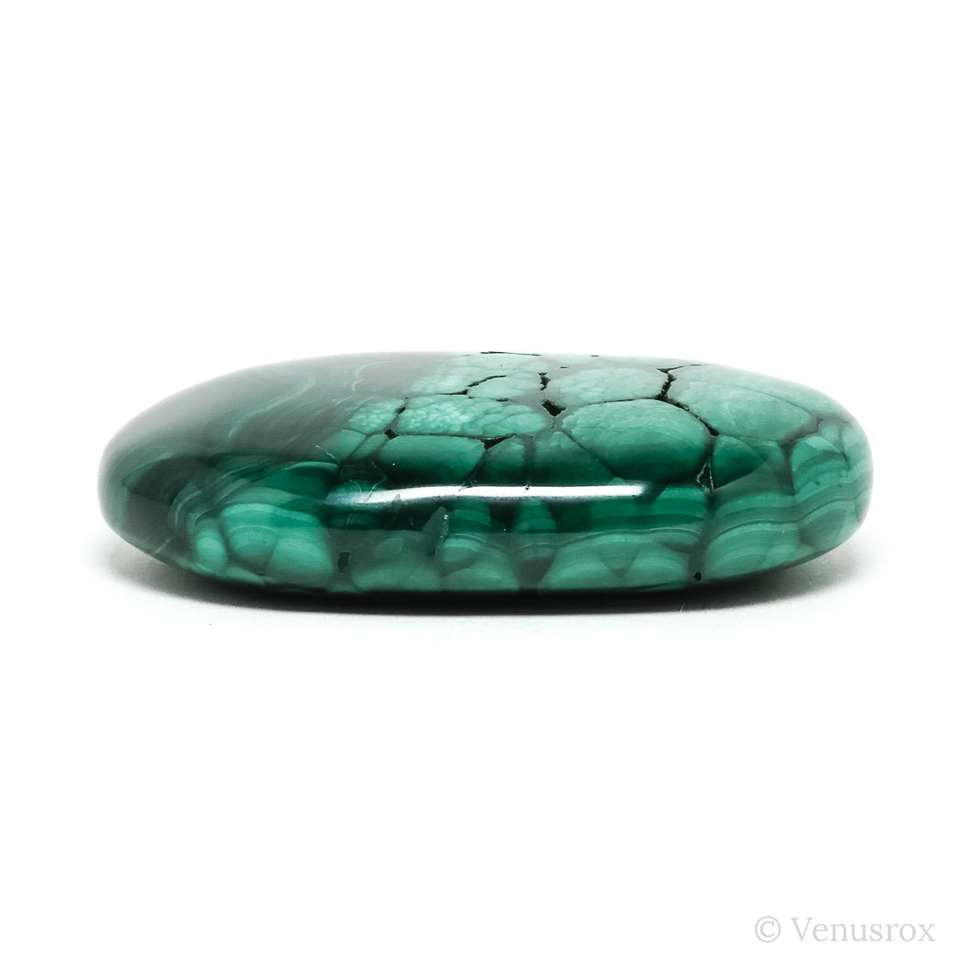 Malachite Polished Crystal from the Democratic Republic of Congo | Venusrox