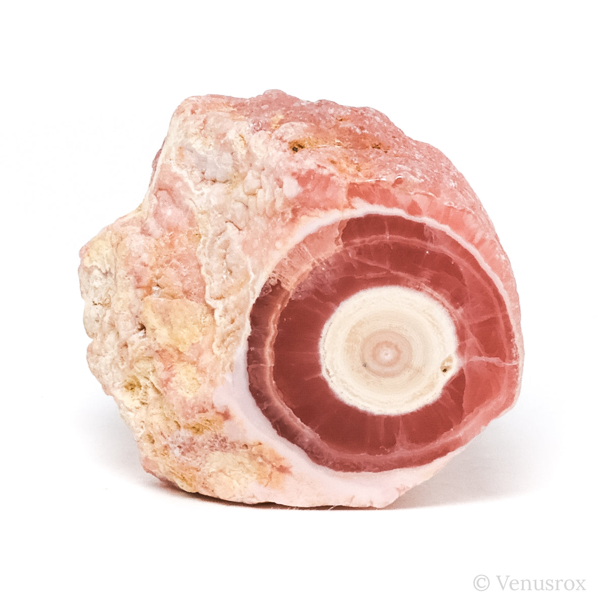 Rhodochrosite Polished/Natural Stalactite Crystal from Argentina | Venusrox