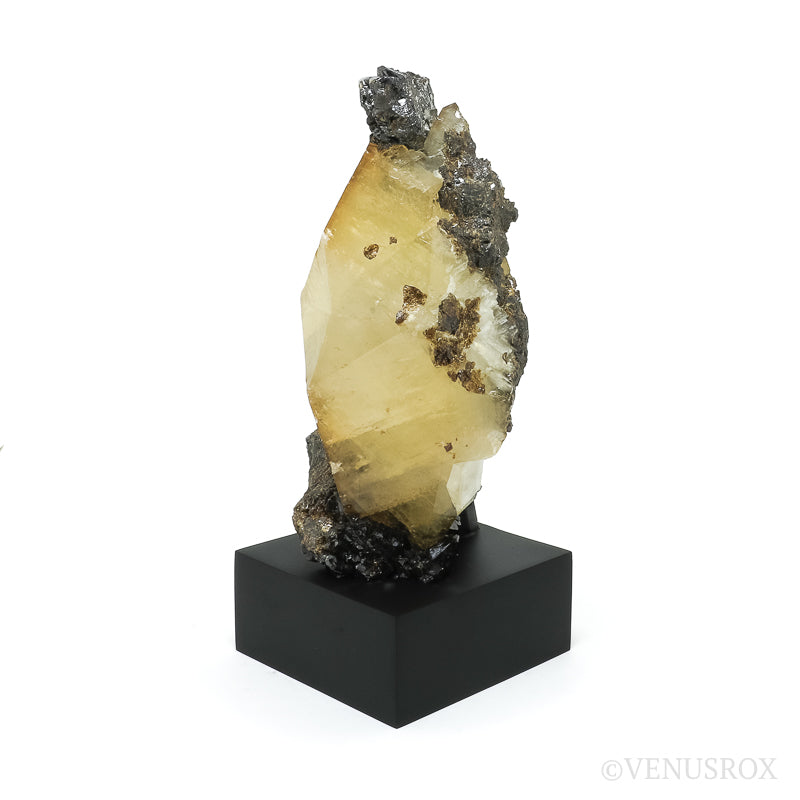 Stellar Beam Calcite with Sphalerite on Matrix Natural Cluster from the Elmwood Mine, Tennessee, USA, mounted on a bespoke stand | Venusrox