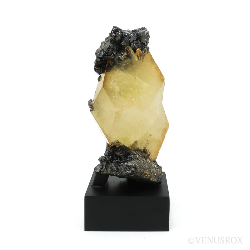Stellar Beam Calcite with Sphalerite on Matrix Natural Cluster from the Elmwood Mine, Tennessee, USA, mounted on a bespoke stand | Venusrox