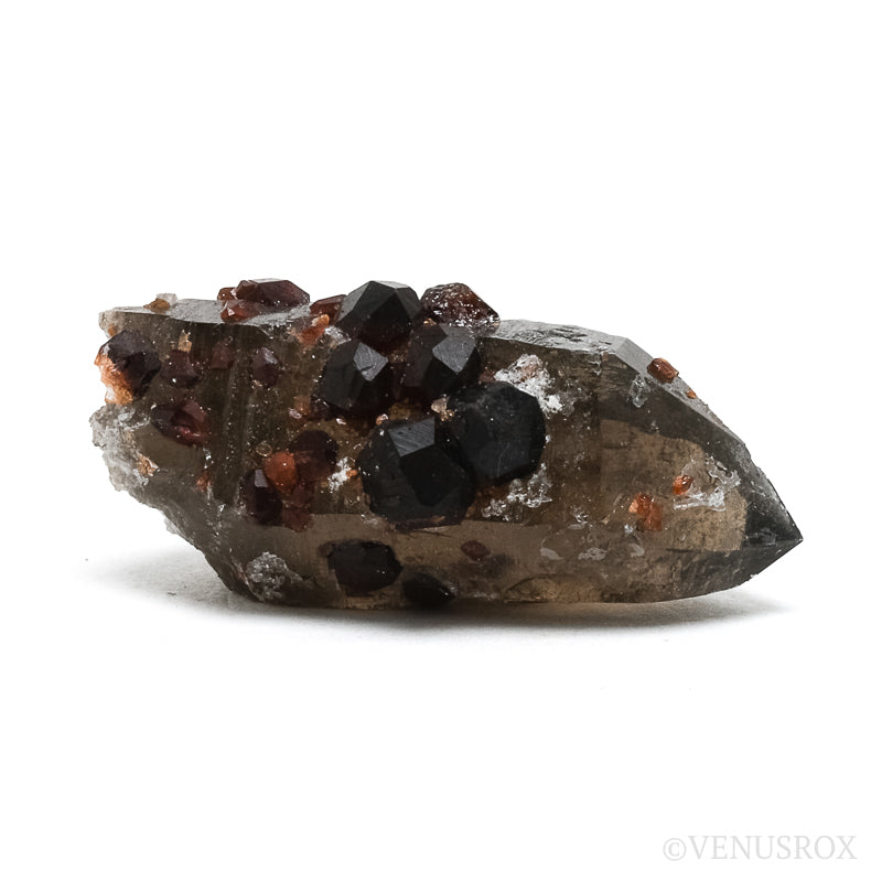 Spessartine Garnet with Smoky Quartz Natural Cluster from Wushan Spessartine Mine, Tongbei, Yunxiao Co., Zhangzhou Prefecture, Fujian Province, China | Venusrox