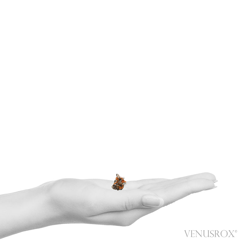 Spessartine Garnet with Smoky Quartz and Orthoclase Natural Cluster from Wushan Spessartine Mine, Tongbei, Yunxiao Co., Zhangzhou Prefecture, Fujian Province, China | Venusrox