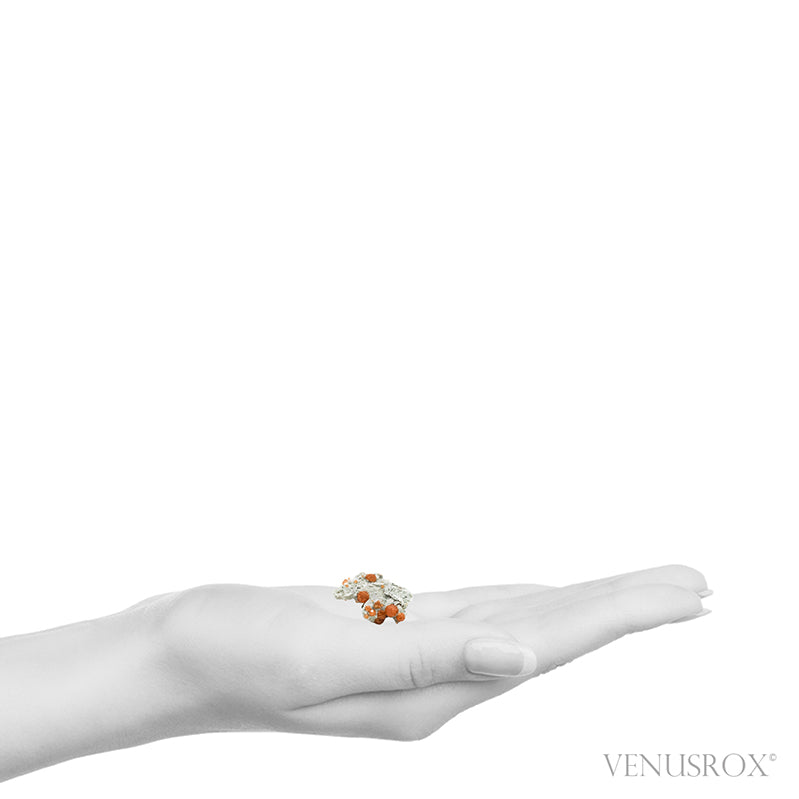 Spessartine Garnet on Matrix Natural Cluster from the Wushan Spessartine Mine, Tongbei, Yunxiao Co., Zhangzhou Prefecture, Fujian Province, China | Venusrox