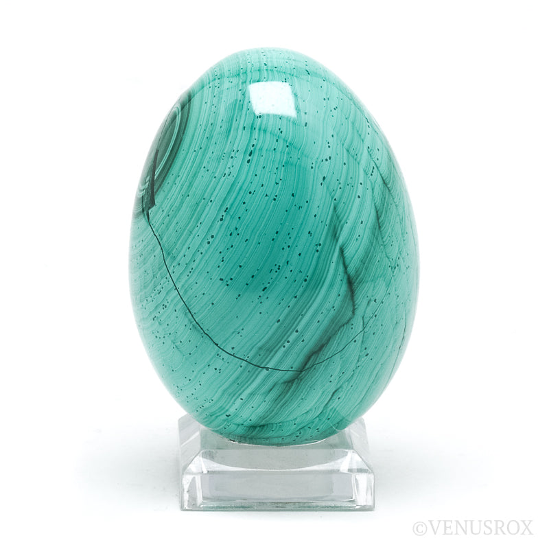 Malachite Polished Egg from the Democratic Republic of Congo | Venusrox