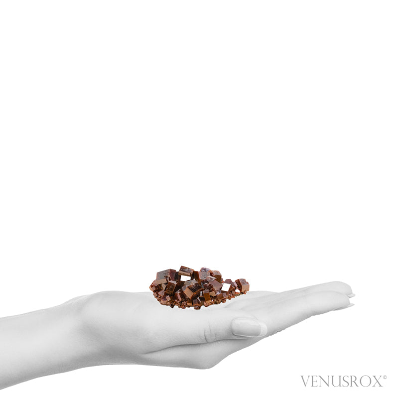 Vanadinite Natural Cluster from Mibladen, Midelt, Meknes-Tafilalet Region, Morocco | Venusrox