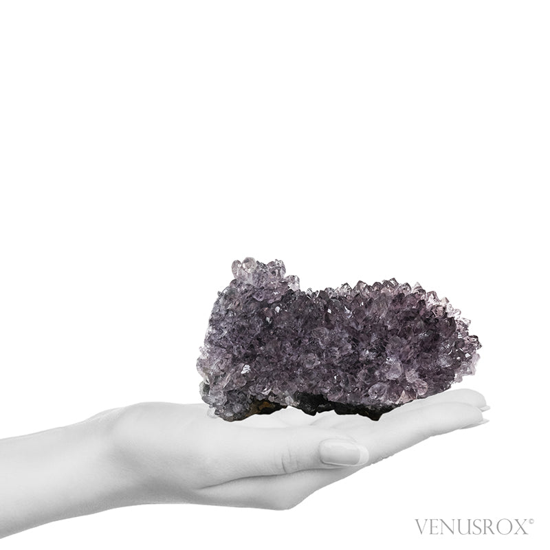 Amethyst Natural Cluster from Uruguay | Venusrox