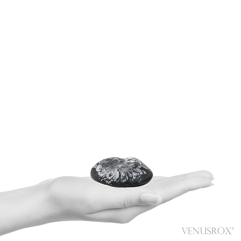 Chrysanthemum Stone from China | Venusrox
