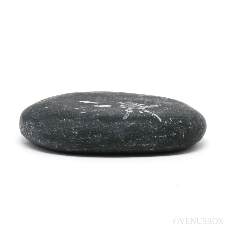 Chrysanthemum Stone from China | Venusrox