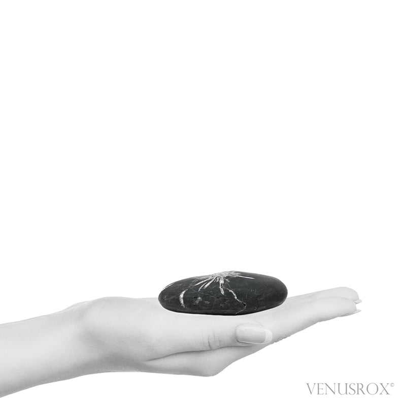 Chrysanthemum Stone from China | Venusrox