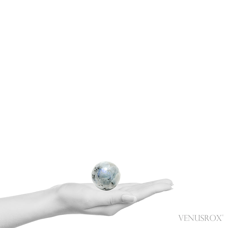 Rainbow Moonstone with Black Tourmaline Polished Sphere from India | Venusrox