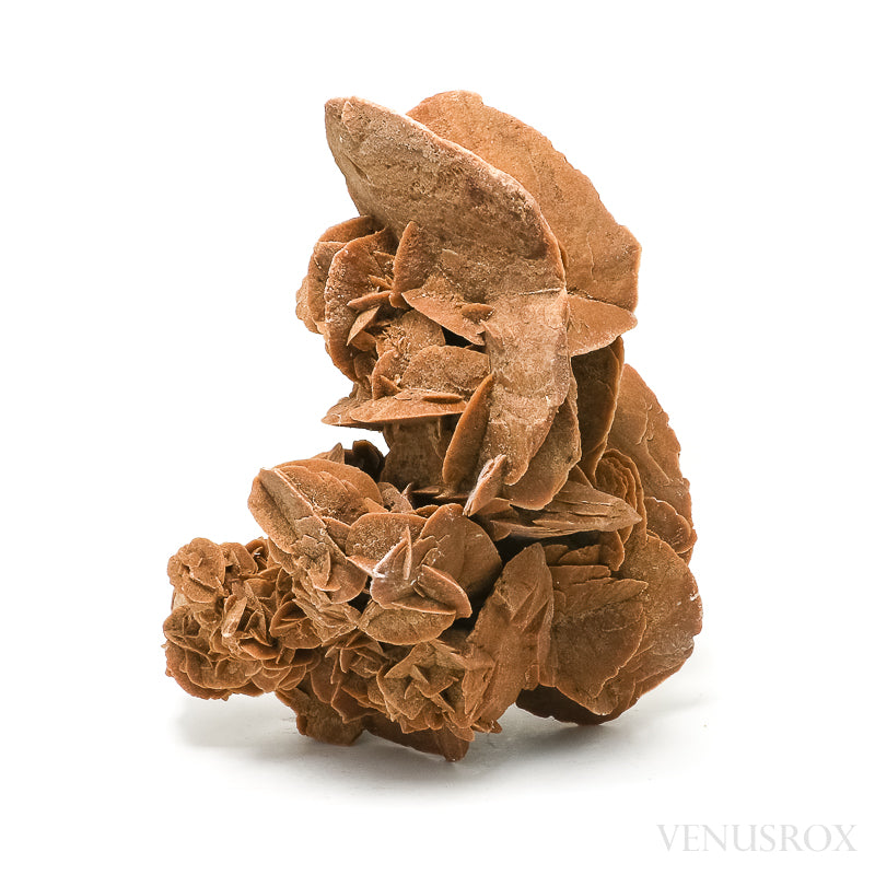 An exceptionally beautiful Desert Rose Natural Cluster from Morocco | Venusrox, the UK's Premier Crystal Showroom