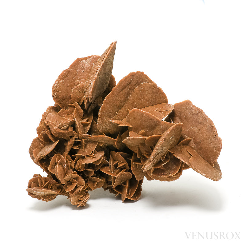 An exceptionally beautiful Desert Rose Natural Cluster from Morocco | Venusrox, the UK's Premier Crystal Showroom